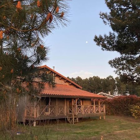 Le Gite De L'Aerogrange Biscarrosse Εξωτερικό φωτογραφία