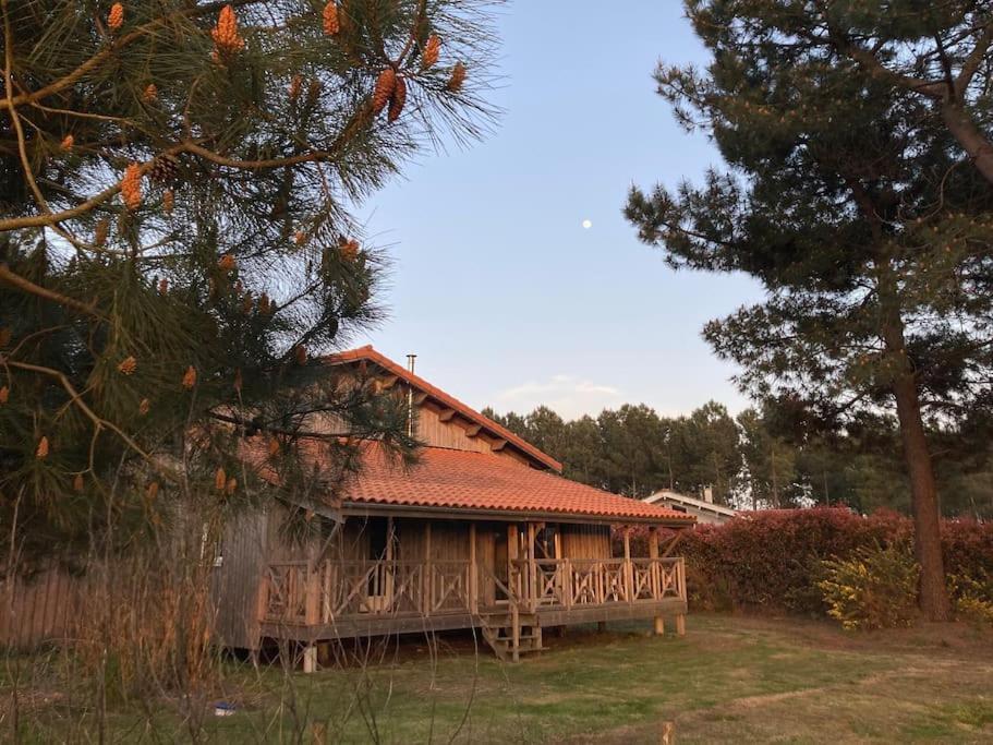 Le Gite De L'Aerogrange Biscarrosse Εξωτερικό φωτογραφία